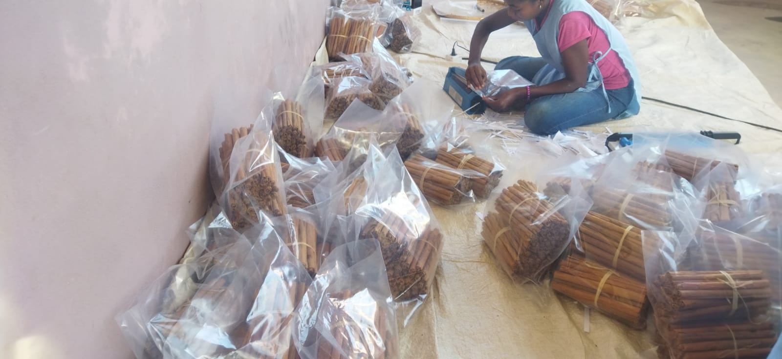 vaste réseau de producteurs de RAVINALA sarl