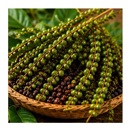 Poivre Sauvage de Madagascar