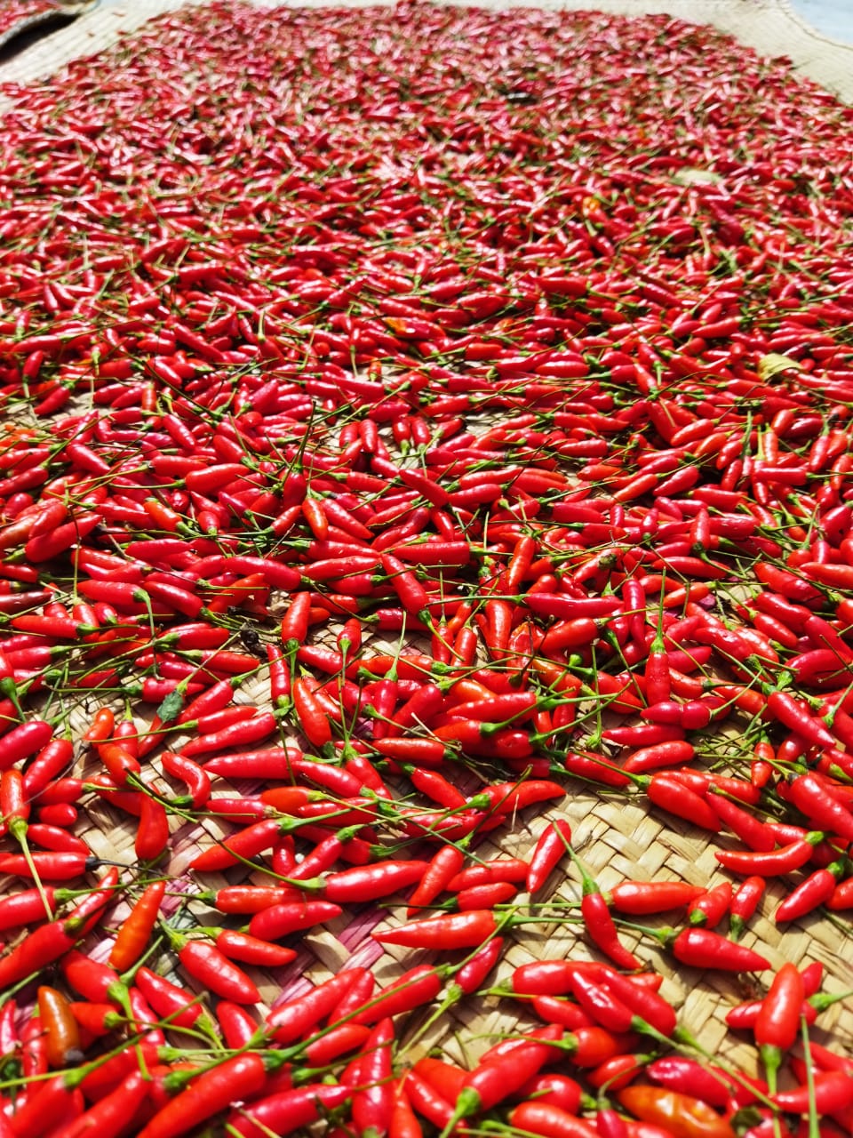 RAVINALA - Production, collecte, transformation et vente des produits agricoles et derives